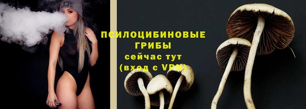экстази Белокуриха