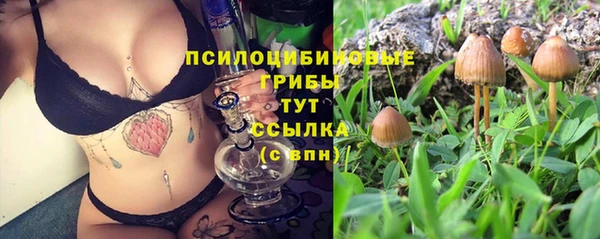 ECSTASY Баксан