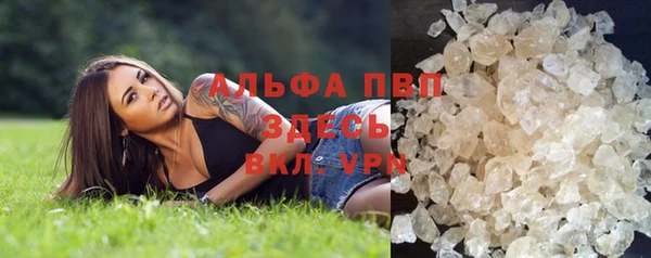 ПСИЛОЦИБИНОВЫЕ ГРИБЫ Балабаново