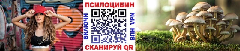 Галлюциногенные грибы GOLDEN TEACHER  Заречный 